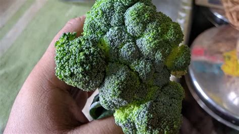 How To Tell If Broccoli Is Bad Cullys Kitchen
