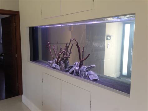 Wall Aquarium Installer Ocean Life Aquatics