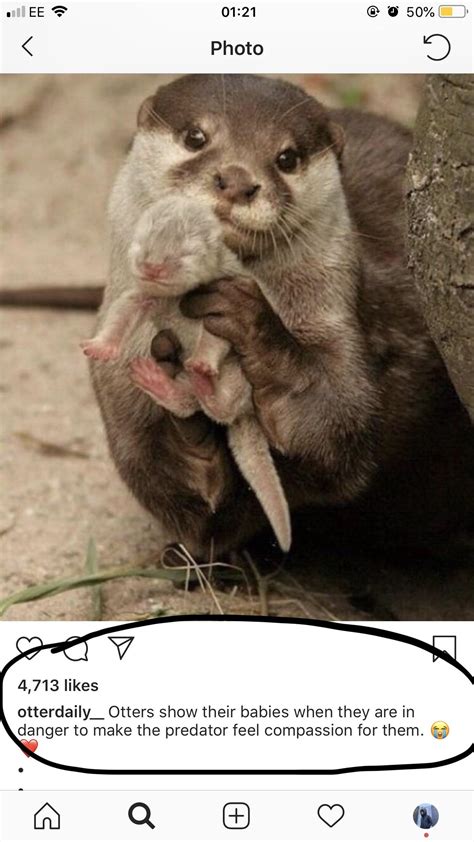 [Question] I have recently come across a quote doing the rounds on