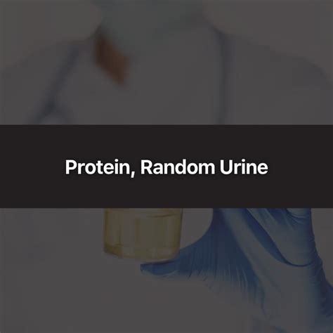 Protein Random Urine Wittmer Rejuvenation Clinic