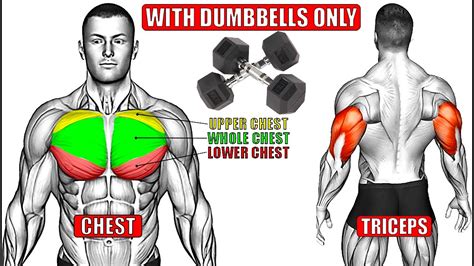 15 Chest And Triceps Workout With Dumbbells For Muscle Youtube