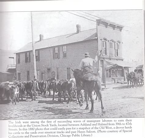 Drovers at Pershing Rd. (39th street) and Halsted Street. | Chicago