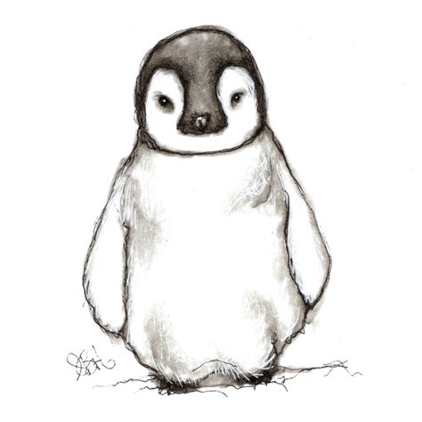 Картинки Пингвина Для Срисовки Telegraph