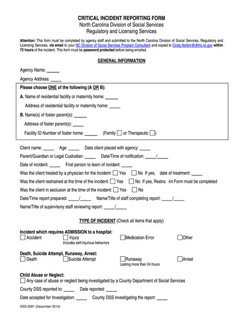 Nc Dss S 2010 2024 Form Fill Out And Sign Printable Pdf Template
