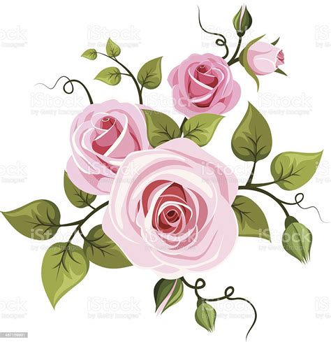 Pink Roses Vector Illustration Stock Illustration Download Image Now