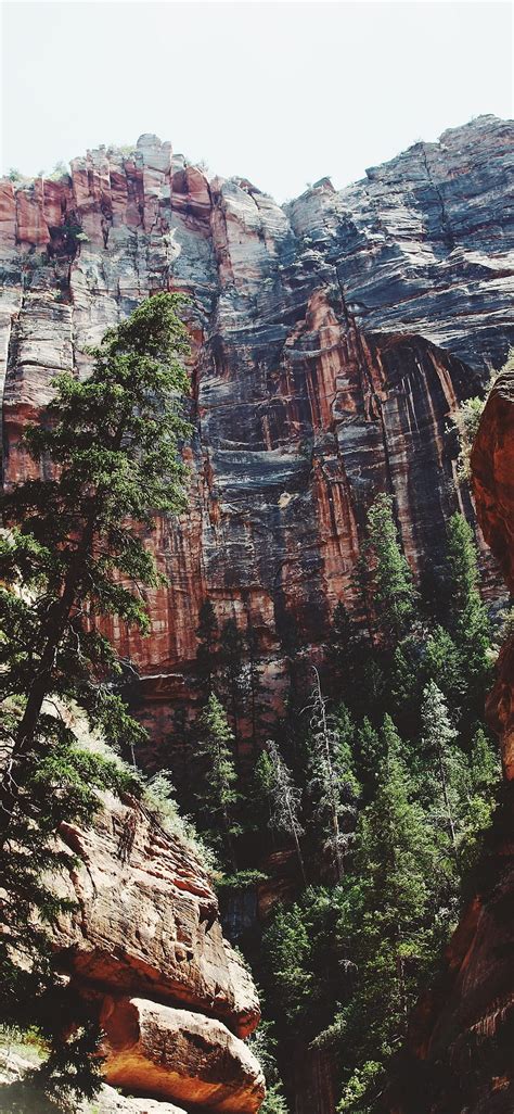 Zion National Park Iphone Hd Phone Wallpaper Pxfuel