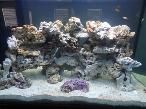 When i began incorporating complex structures based on. How To Aquascape Marine Tank - AQUASCAPE WORLD