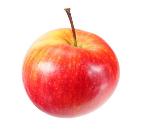 One Red Apple Isolated On White Background Stock Image Image Of