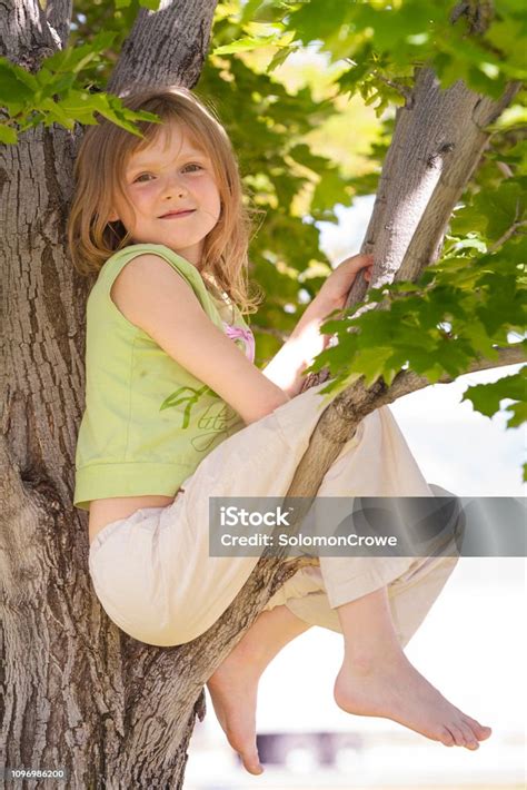 Girl Climbing Tree Stock Photo Download Image Now Child Playing