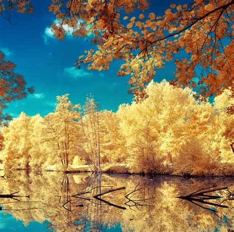 Autumn Lake Colorful Autumn Splendor Forest Lake Hd Wallpaper Pxfuel