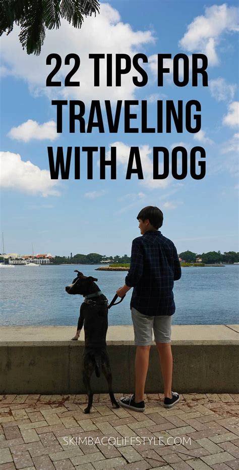 Maybe you would like to learn more about one of these? The Ultimate Travel Guide with a Dog: 22 Tips for Traveling with a Dog - Skimbaco Lifestyle ...