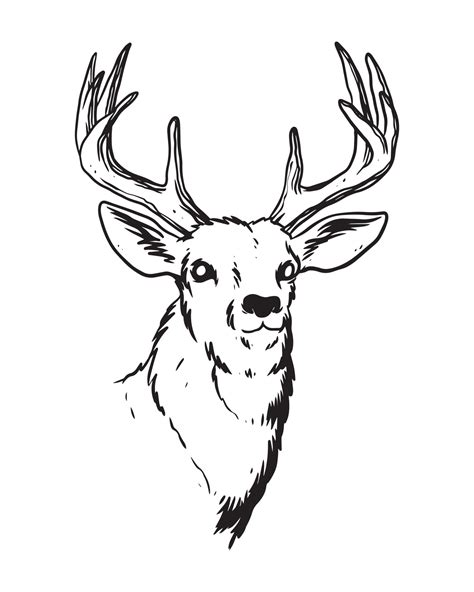 A Hand Drawn Illustration Of The Deer With Strong Antlers A Deer In