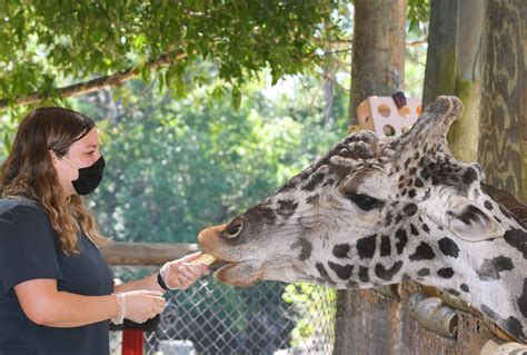Brevard Zoo Reopening May 23 With New Guidelines