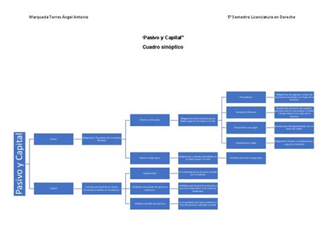 Pasivo Y Capital Cuadro Sinoptico Pdf Business Dividendo