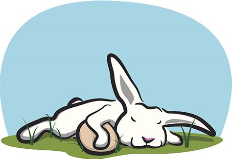Sleeping Rabbit Clipart 20 Free Cliparts Download Images On