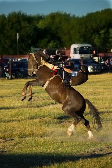 Vertical Closeup Shot Of A Rider Falling Off A Horse During Competition