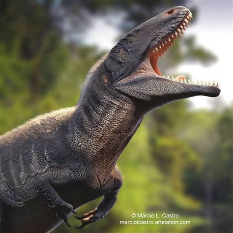 Carcharodontosaurus Paleoart By Marcio L Castro Jurassic Park