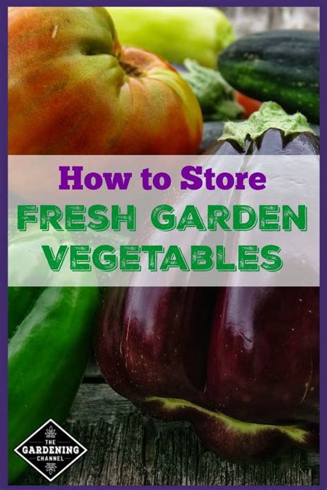 Storing Fresh Garden Vegetables Gardening Channel