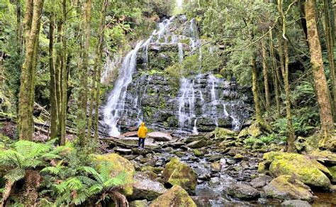 5 Of The Best Waterfalls In Tasmania Australia
