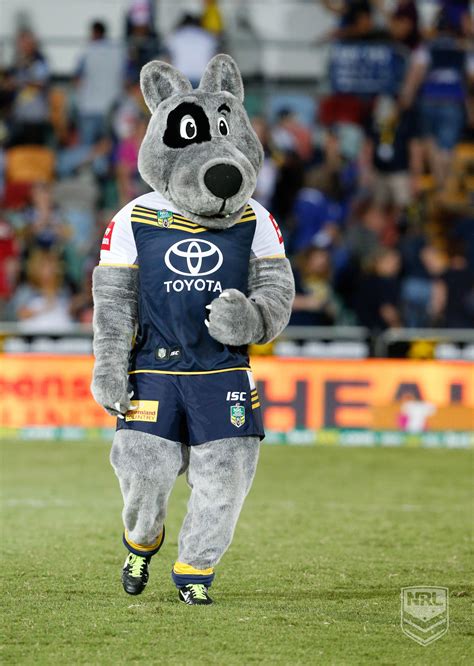 North Queensland Cowboys Mascot Mascot Rugby League Cowboys