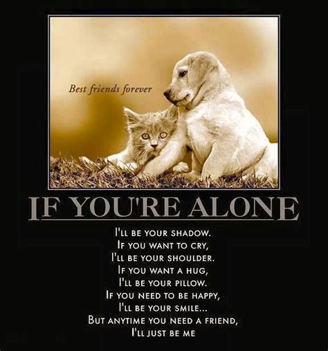 Best Friends Forever Through Thick And Thin Your Pets Dog Quotes