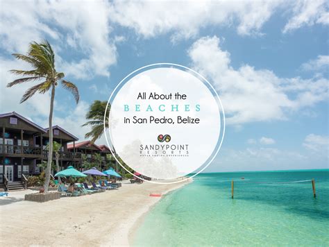 all about the beaches in san pedro belize sandy point resorts