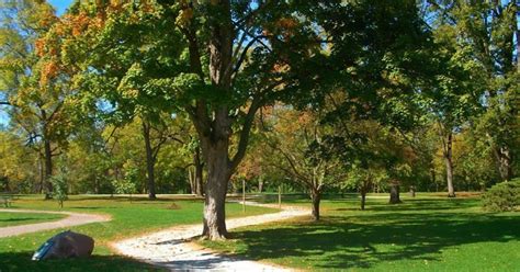 If you are new to 2019 was quite stable for ripple, with no dramatic ups and downs. Broad Ripple Park, Upcoming Events in Indianapolis on Do317