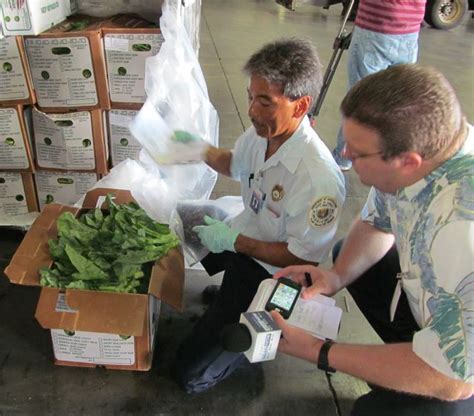 See actions taken by the people who manage and post content. Department of Agriculture | Plant Quarantine Inspectors Featured on Hawaii News Now!