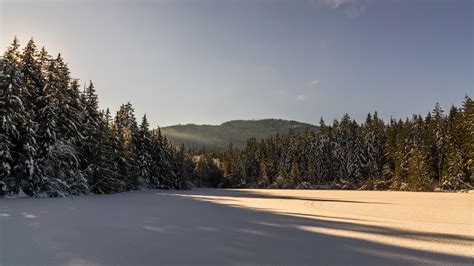 Wallpaper Sunlight Landscape Forest Hill Nature Sky Snow