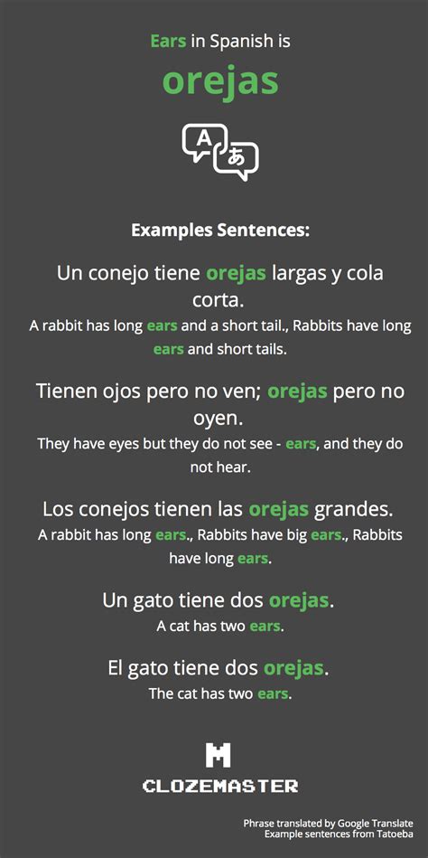How To Say Ears In Spanish Clozemaster