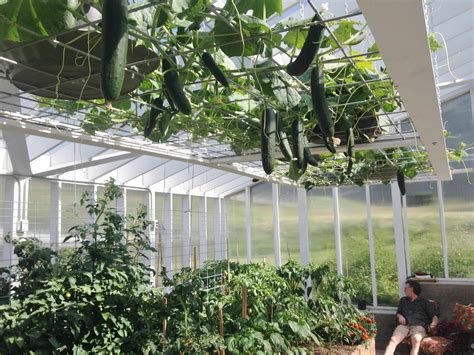 Greenhouse Growing In 2014 Homemade Food Junkie