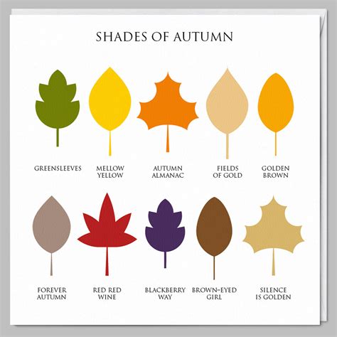 Shades Of Autumn The Iconic Card Co