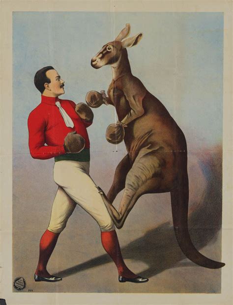Boxing Kangaroo Vintage Circus Posters Circus Poster Vintage Ski
