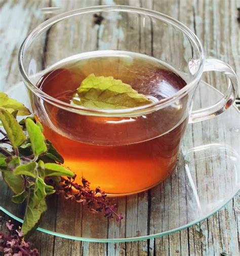 10 Best Benefits Of Tulsi Tea Holy Basil For Skin And Health