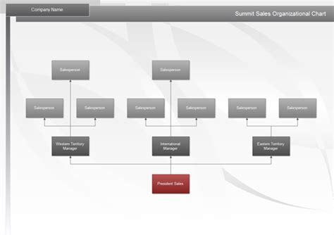 Sales Organization Structure Chart A Visual Reference Of Charts