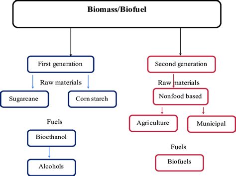 Block Diagram Of Biomassbiofuel Categories Download Scientific Diagram
