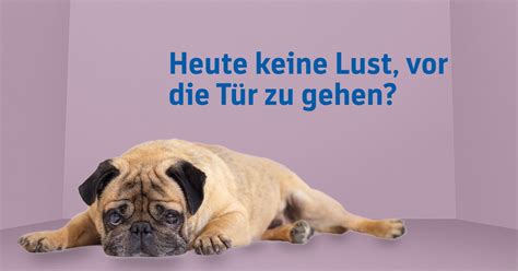 The latest tweets from @bbbank_eg BBBank - Home | Facebook