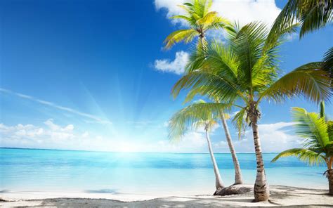 Фото Белый пляж море пальмы