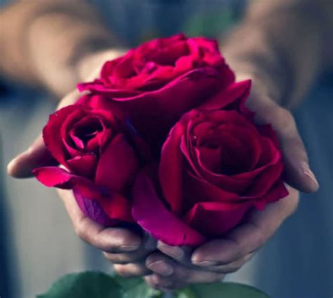 أَمْ حَسِبْتَ أَنَّ أَصْحَابَ الْكَهْفِ وَالرَّقِيمِ كَانُوا مِنْ آيَاتِنَا عَجَبًا. صور ورد جديد - كارز