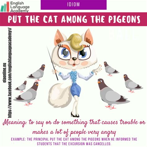 Idiom Put The Cat Among The Pigeons English Idioms Idioms And