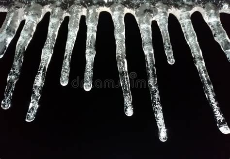 Ice Watericicles Hanging From The Branch Resulting From The Melting