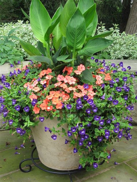 Top Beautiful 25 Summer Color Container Planting Ideas For Your Front