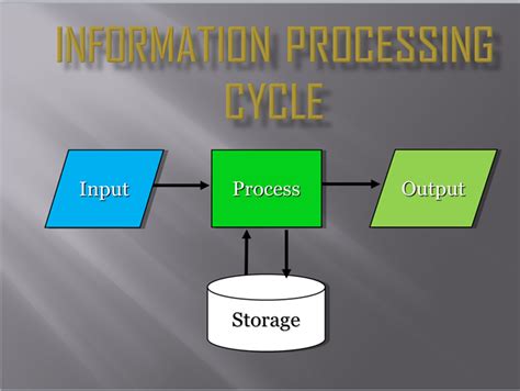 The Information Processing Cycle Consists Of Rinl Toets