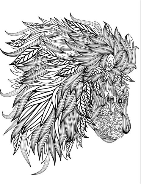 Realistic Lion Coloring Pages For Adults Canvas Point