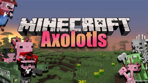 Maybe you would like to learn more about one of these? Скачать Axolotls для Minecraft 1.15.2