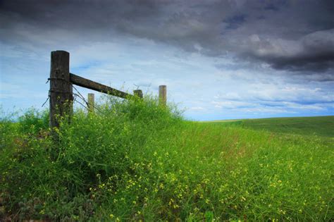 The Sky Clouds Fence Grass Photo 3606 Hd Stock Photos