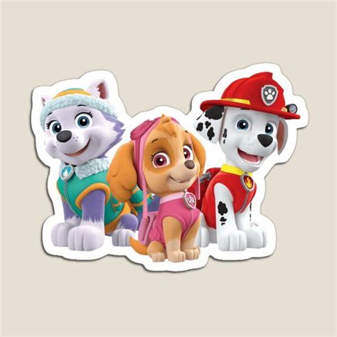 Skye And Everest Female Paw Patrol Stand Up Character Party Bolo Do Paw