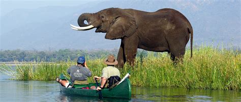 These popular itineraries can be customised to match your budget and travel dates. Zimbabwe Luxury Safari | Zimbabwe Vacation Packages