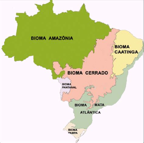 Mapa Do Brasil Com Os Biomas