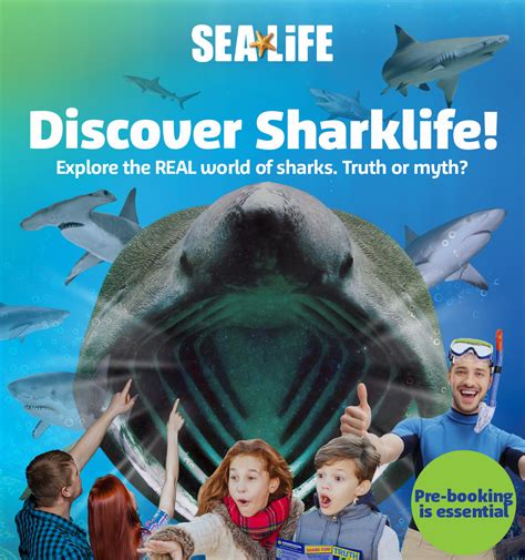 Plan A Visit National Sea Life Centre Birmingham Aquarium